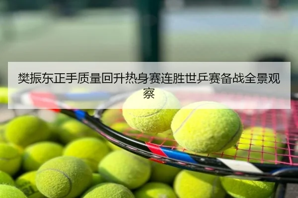 樊振东正手质量回升热身赛连胜世乒赛备战全景观察