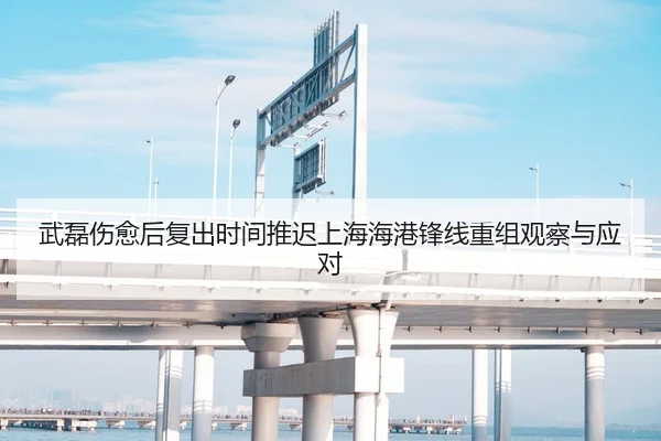 武磊伤愈后复出时间推迟上海海港锋线重组观察与应对